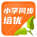 CBA｜上海男篮留住功勋外援古德温