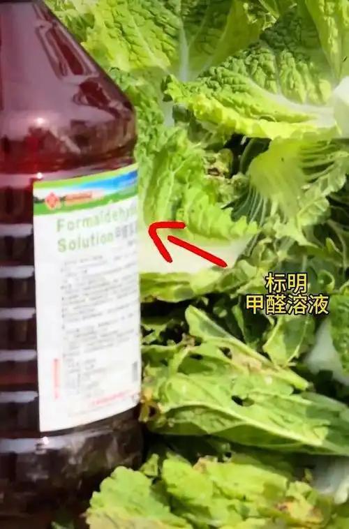 德约暖心助阵!门希克半决赛迎战兹维列夫,冲击法网决赛